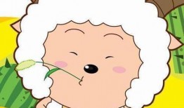 懒羊羊最新爆料视频大全,揭秘视频大全背后的精彩瞬间