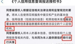 网易5月份爆料视频,游戏新动态与神秘项目大曝光